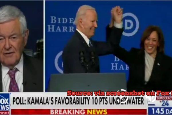 Explosive Outrage Over Newt Gingrich's Disrespectful Attacks on VP Kamala Harris' Intelligence