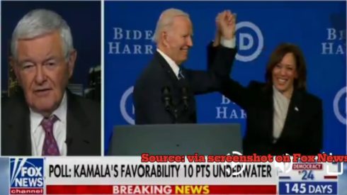 Explosive Outrage Over Newt Gingrich's Disrespectful Attacks on VP Kamala Harris' Intelligence