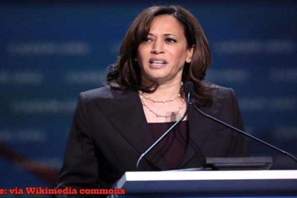 US Vice President, Kamala Harris Blasts Trump in Fiery Speech: Compares Ex-President to Convicted Felons