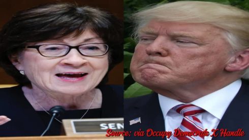 Senator Susan Collins Defies GOP: Boldly Backs Nikki Haley in Donald Trump Snub