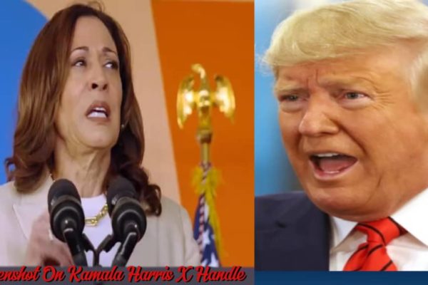 Kamala Harris Strongly Condemned Donald Trump's Blatant Disregard' for Women's Reproductive Rights