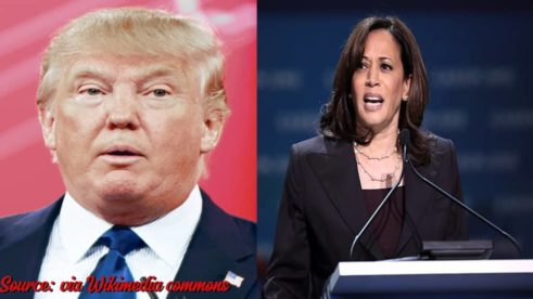 Kamala Harris Shatters 'The View' Ratings, Delivering a Crushing Blow to Donald Trump’s Obsession with Popularity