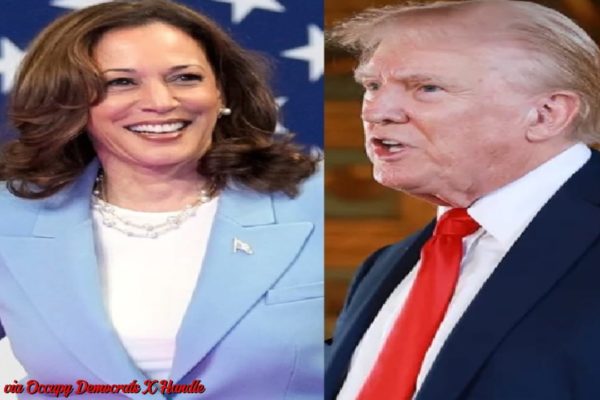 Kamala Harris Secures 12-Point Lead Over Donald Trump Among Under-35 Voters