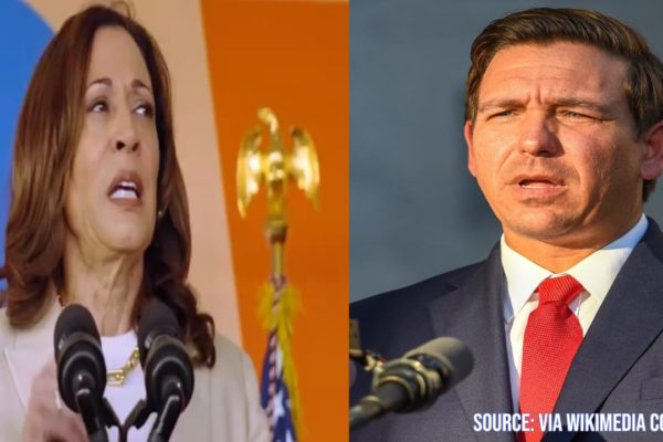 Vice President Kamala Harris Criticizes Governor DeSantis for Ignoring Calls During Hurricane Recovery