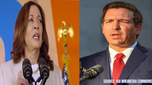 Vice President Kamala Harris Criticizes Governor DeSantis for Ignoring Calls During Hurricane Recovery