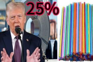 President Donald Trump Signs Orders: 25% Tariffs on Steel and Aluminum, Plastic Straws Make a Comeback in the U.S