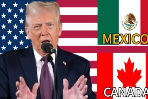 Donald Trump Declares Tariffs on Mexico and Canada, Markets Plummet