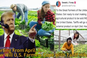 President Donald Trump’s Tariffs Hit U.S. Farmers Hard – Price Hikes & Trade War Loom, Effective April 2, 2025