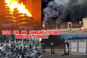 Tesla Car Lot Set Ablaze in Germany, and Charging Stations Barbecued in the US.