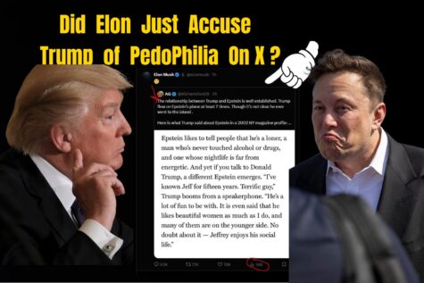 Trump Versus Musk From Shared Agendas to Scorched-Earth Accusations