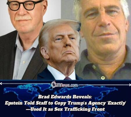 Brad Edwards: Epstein Modeled His Trafficking Operation After Trump’s Modeling Agency, Says Accountant