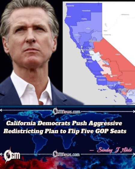 Newsom Backs Redistricting Gamble as California Becomes Battleground for House Control