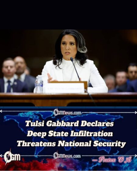 Tulsi Gabbard Warns: Intelligence Agencies Are Serving Politics, Not the People
