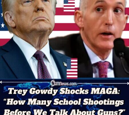 Former Congressman Trey Gowdy Breaks Silence On Gun Violence, Says Shooters Are ‘Always Young, White Males’