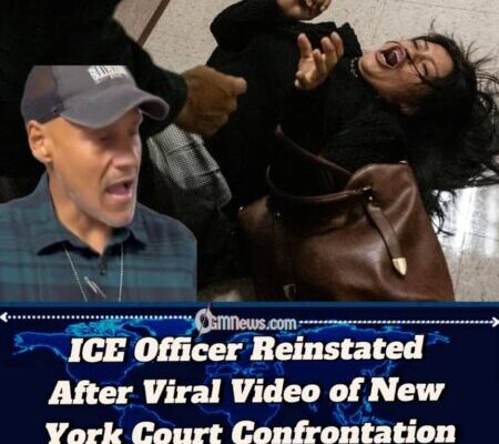 Immigration and Customs Enforcement Officer Reinstated After Viral Video of New York Altercation