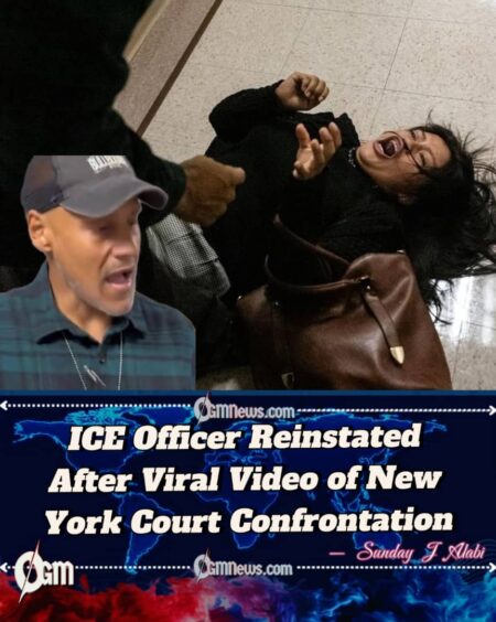 Immigration and Customs Enforcement Officer Reinstated After Viral Video of New York Altercation