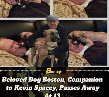 Kevin Spacey Mourns Loss of His Beloved Rescue Dog Boston