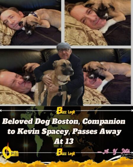 Kevin Spacey Mourns Loss of His Beloved Rescue Dog Boston