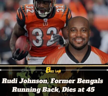 Rudi Johnson Former Bengals Running Back Dies at 45
