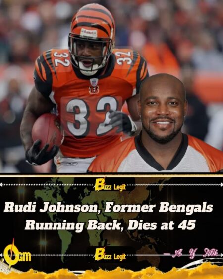 Rudi Johnson Former Bengals Running Back Dies at 45