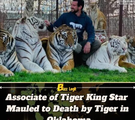 Ryan Easley, Tiger King Associate Dies After Fatal Tiger Attack in Oklahoma