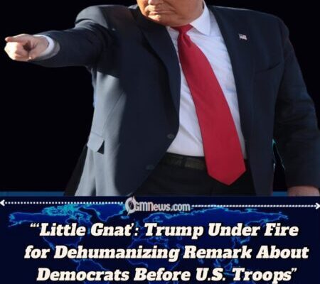 Donald Trump Sparks Backlash After Calling Democrats “Little Gnats” in Remarks to U.S. Military
