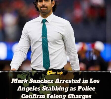 Mark Sanchez Faces Up to Eight Years in Prison After Alleged Stabbing Incident