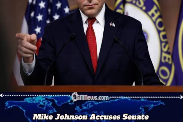 Mike Johnson Demands Probe into ‘Foreign-Backed’ Rallies, Says Democrats Betrayed Democratic Process