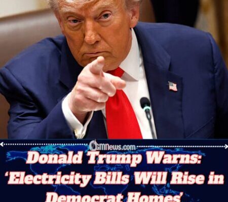 Donald Trump Claims Democrats Will ‘Punish Americans With High Tariffs’
