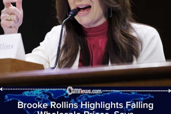 Brooke Rollins Says ‘Most Groceries Have Come Down,’ Sparking Consumer Skepticism
