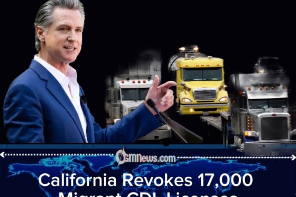 Newsom Revokes 17,000 Commercial Licenses for Undocumented Migrants After Federal Pressure