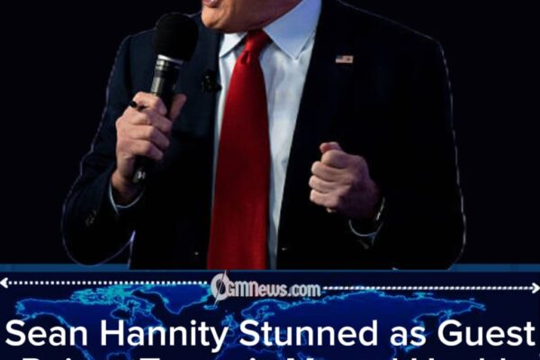 Sean Hannity Loses Control as Guest Confronts Him Over Trump’s Epstein Ties