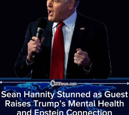 Sean Hannity Loses Control as Guest Confronts Him Over Trump’s Epstein Ties