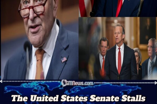 The United States Senate Under Fire for Prolonging Shutdown and Deepening Public Hardship