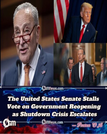 The United States Senate Under Fire for Prolonging Shutdown and Deepening Public Hardship