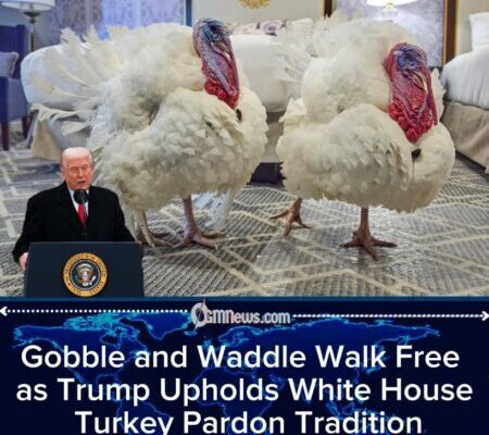 Gobble and Waddle Get a Second Chance: Trump Keeps White House Turkey Pardon Tradition Alive