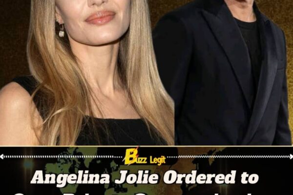 Angelina Jolie Confronts New Legal Hurdle in Prolonged Miraval Winery Fight