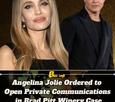 Angelina Jolie Confronts New Legal Hurdle in Prolonged Miraval Winery Fight