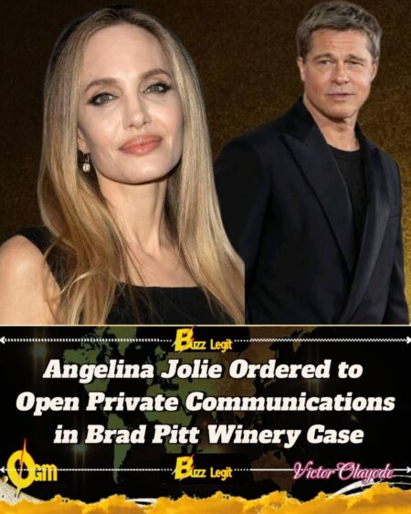 Angelina Jolie Confronts New Legal Hurdle in Prolonged Miraval Winery Fight