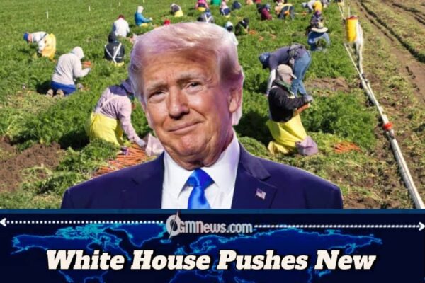 Donald Trump Vows to Cut Farm Equipment Prices by Lifting Environmental Restrictions