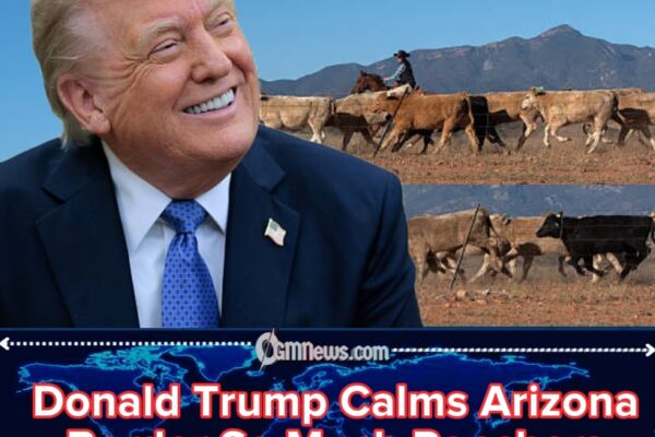 Donald Trump Brings Noticeable Calm to Arizona’s Southern Border