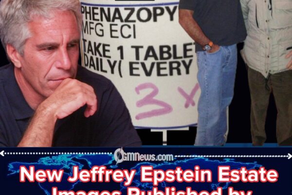 Jeffrey Epstein Estate Photos Surface Again in House Oversight Release