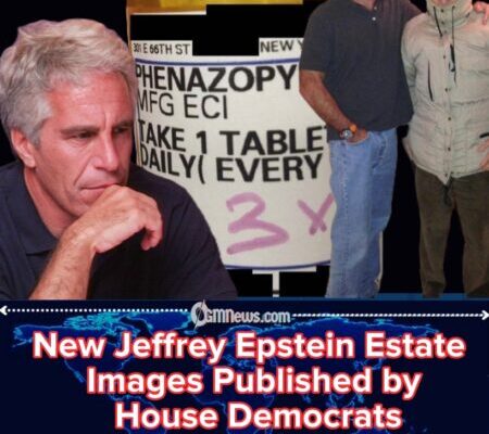 Jeffrey Epstein Estate Photos Surface Again in House Oversight Release