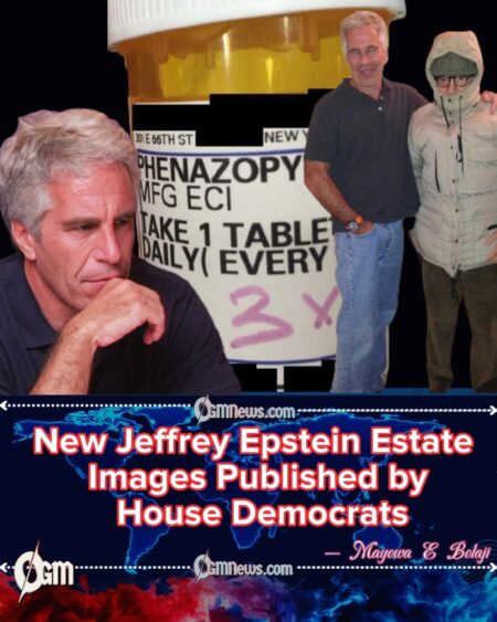 Jeffrey Epstein Estate Photos Surface Again in House Oversight Release