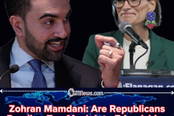 New York Mayor-Elect Zohran Mamdani: Is NYC’s New Mayor Secretly Running Minnesota Politics Too?