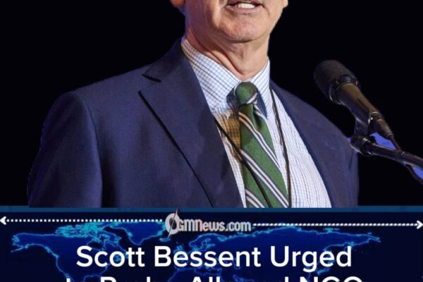 Scott Bessent Pressured to Investigate Somali-Led NGO Over Fraud Claims