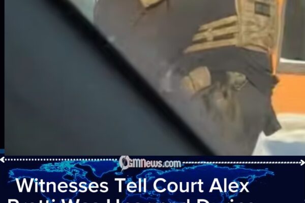 Alex Pretti Did Not Brandish a Gun, Witnesses Say in Sworn Testimony