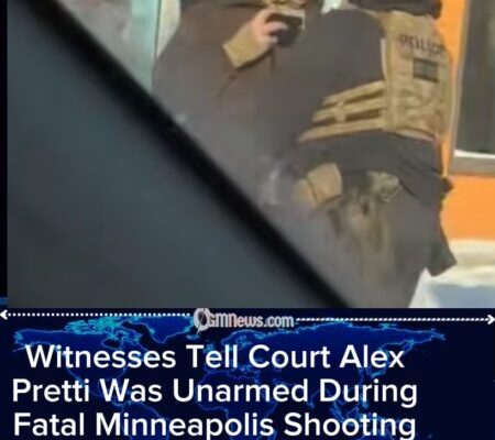 Alex Pretti Did Not Brandish a Gun, Witnesses Say in Sworn Testimony