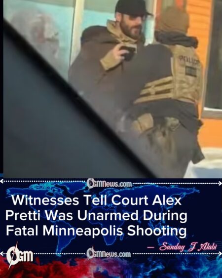 Alex Pretti Did Not Brandish a Gun, Witnesses Say in Sworn Testimony