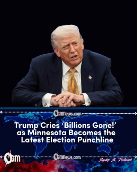 President Donald Trump Claims $19 Billion Minnesota Fraud, Citing Ongoing Reviews